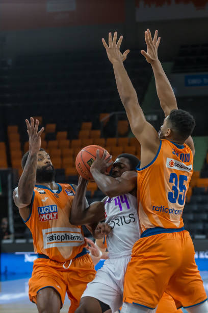 季西部很可 季西部很可