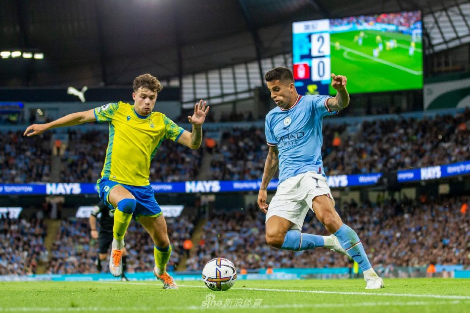 同时也在加 同时也在加