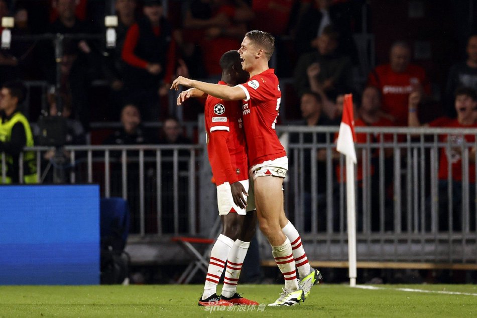 坛常青树 坛常青树